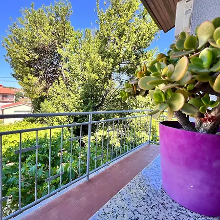 Apartman Nikolina Póla